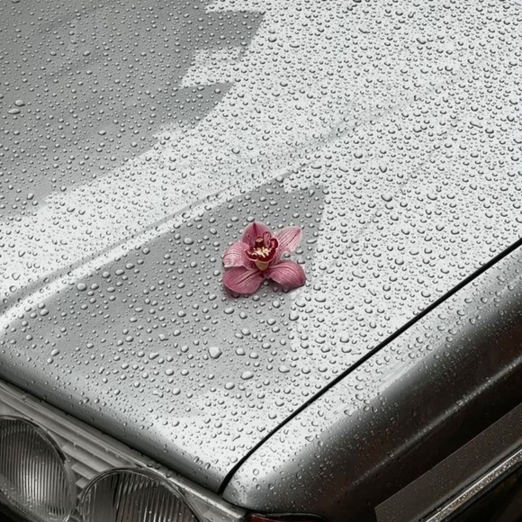 Meet your Posher, Karen - Picture 1 of 1